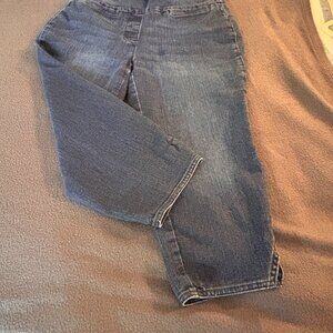 Westbound Petites Size 2P Crop Pull-on Jeans